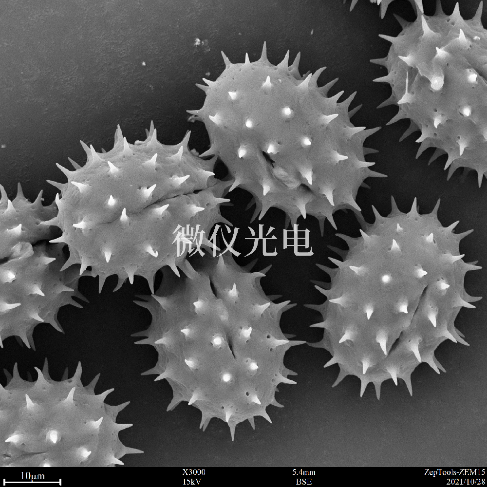 sem掃描電鏡的原理、組成、基本參數(shù)和應(yīng)用的介紹